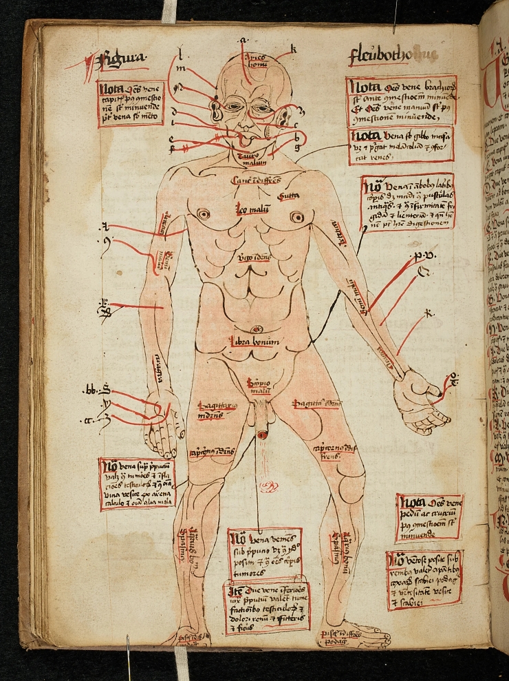 Středověká medicína i s recepty bude digitalizována a všem volně přístupná